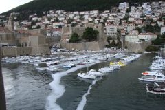 DSC05546